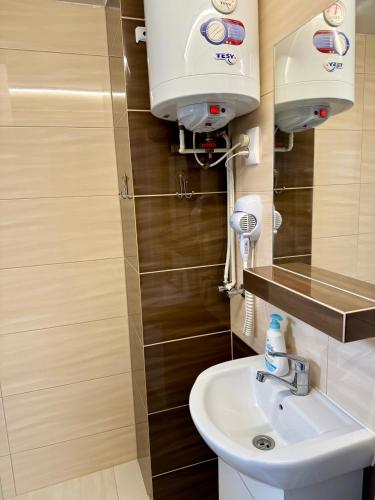 a bathroom with a toilet and a sink at Casuta-Maria-Kisház in Sovata