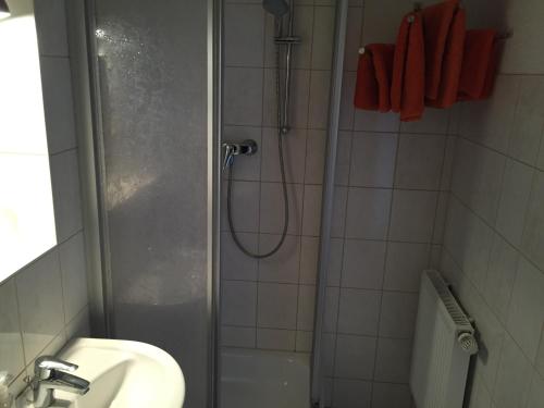 La salle de bains est pourvue d'une douche, d'un lavabo et de toilettes. dans l'établissement Pension Gutshaus, à Halle-sur-Saale