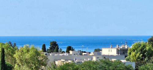 Charmant 2P Piscine - Parking - Vue mer - Antibes photo 20