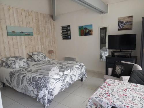 a bedroom with a bed and a flat screen tv at Chambre d'hôtes du Carrousel in La Teste-de-Buch