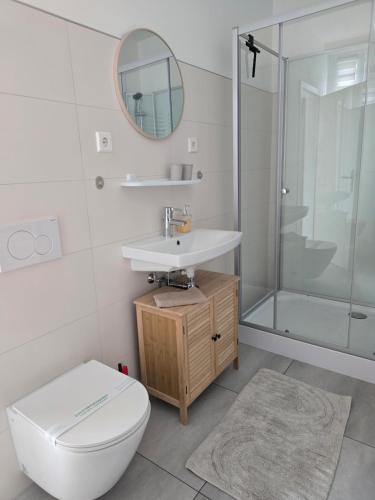 a bathroom with a toilet and a sink and a shower at Lieblingsplatz Bevensen in Bad Bevensen