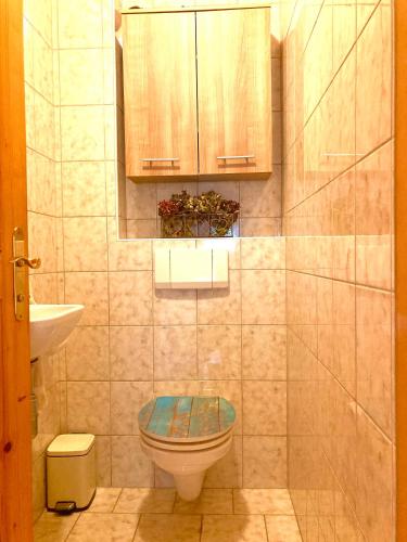a bathroom with a toilet and a sink at Ferienwohnung Oberprossegg in Matrei in Osttirol