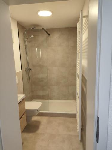 a bathroom with a shower and a toilet at Modernes City-Apartement - 6 Gäste in Weingarten