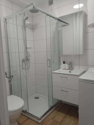 a bathroom with a shower with a toilet and a sink at Cichy Kącik in Wadowice