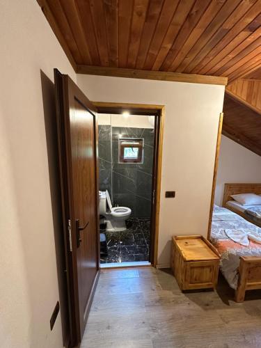 a bathroom with a sink and a toilet in a room at Natyra balcony in Valbonë