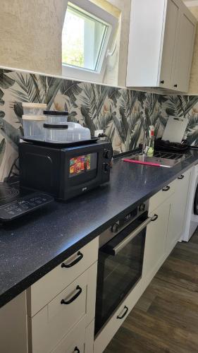 a kitchen with a counter top with a microwave at Vila KEDAR sa klimom in Kragujevac