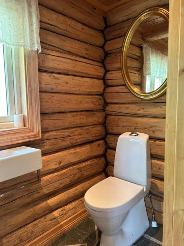 a bathroom with a toilet and a mirror at Liten hytte i Tinn in Notodden