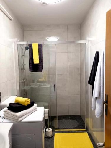 a bathroom with a shower with a glass door at Apartman Ines in Pribislavec