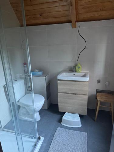 a small bathroom with a toilet and a sink at chata u Ondrucha in Tři Studně