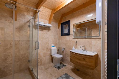 a bathroom with a shower and a toilet and a sink at A Frame by Tinutul Marului in Voineşti