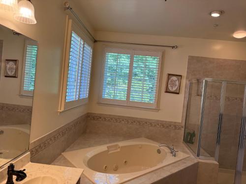 a bathroom with a tub and a shower and a sink at LUX homes in Fort Washington