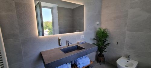 a bathroom with a sink and a toilet and a mirror at B&B Villa Dina in Desenzano del Garda