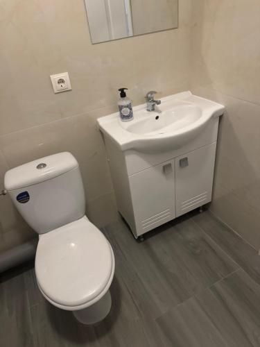 a bathroom with a white toilet and a sink at Otopeni Maramures in Otopeni
