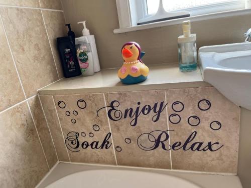a rubber duck sitting on top of a bathroom sink at 13 Chute Street central and homely in Exeter