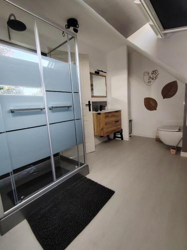 a bathroom with a glass shower and a sink at Gîte de l'oeillet in Lhomme