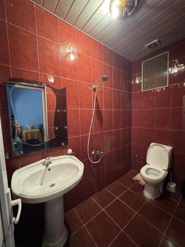 a bathroom with a sink and a toilet and a mirror at Twins Kobuleti in Kobuleti