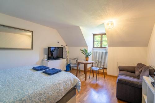 Studio 10 Rhine View - Quiet and Cozy - 10min walk to City Center, 15min to Main Station
