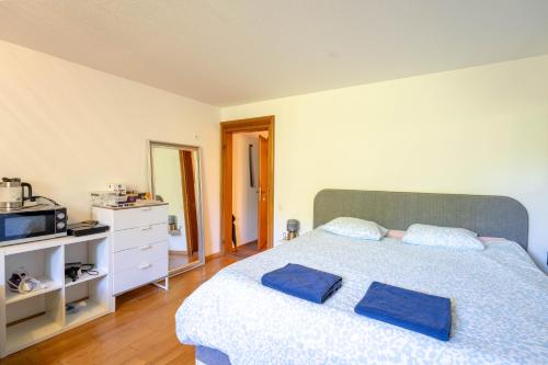 Studio 10 Rhine View - Quiet and Cozy - 10min walk to City Center, 15min to Main Station