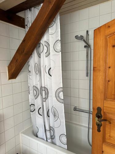 a shower in a bathroom with a shower curtain at Tiny House mit Terrasse nahe dem Bodensee in Wahlwies