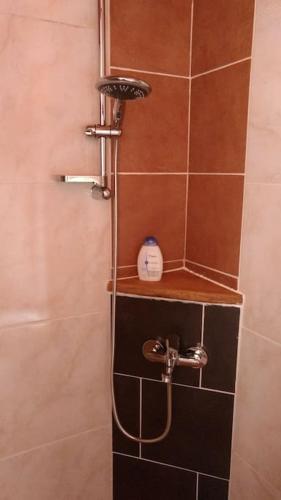a shower with a bottle of soap on a shelf at Schloss Höllrich in Karsbach