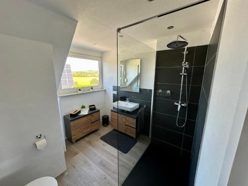 ein Badezimmer mit Glasdusche und Waschbecken in der Unterkunft Eifelpause Vulkan in Bleckhausen