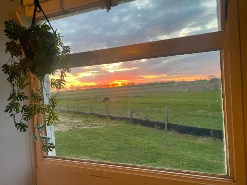 a window with a view of a field with a sunset at Sky Ballonvaarten & Accommodaties in Tilburg
