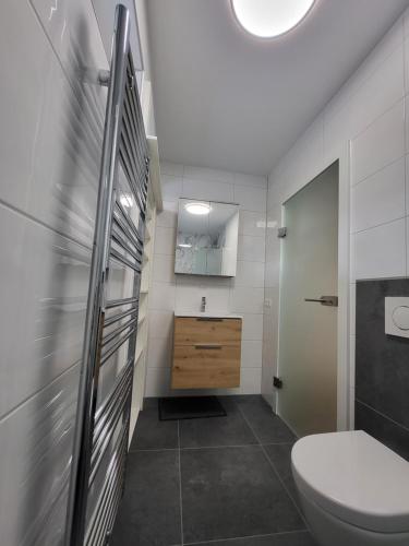 a bathroom with a toilet and a sink at Apartment Karin in Langenwang