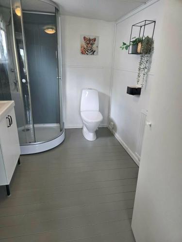 a bathroom with a toilet and a walk in shower at Sea View cottage with 2 sleeping cabins in Uddevalla