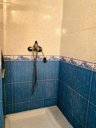 a shower in a blue tiled bathroom with a tub at Appartement Détente Hammamet in Hammamet