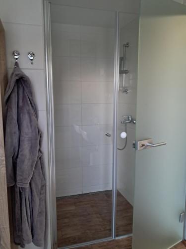 a shower in a bathroom with a glass door at Mountain view in Medvode