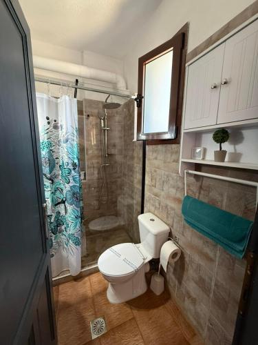 a bathroom with a toilet and a shower at Angelparadise village stefani in Stefáni
