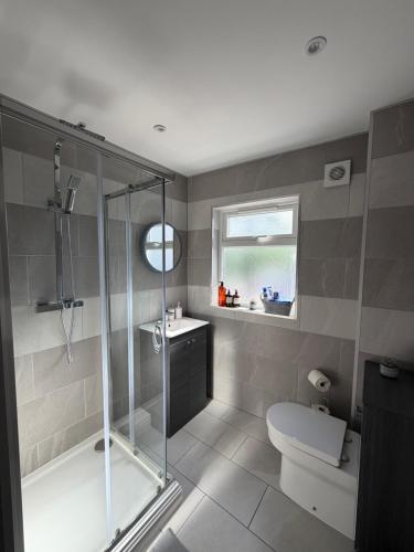 a bathroom with a shower and a toilet and a sink at The Loft Town Centre in Merthyr Tydfil