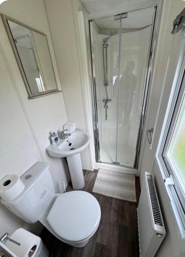 a bathroom with a toilet and a sink and a shower at Brand New Caravan in Selsey