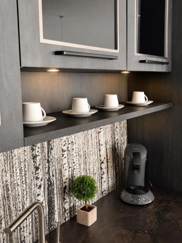 a kitchen with a counter with plates and a sink at City Loft Traum Quartier Apartments in Siegen