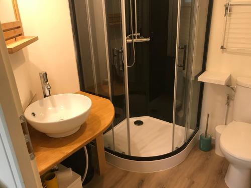 a bathroom with a glass shower and a sink at Studio Tennis Riviere in Annecy