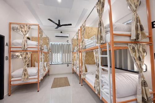 a room with four bunk beds and a ceiling at Live Free Hostel Dehradun in Dehradun