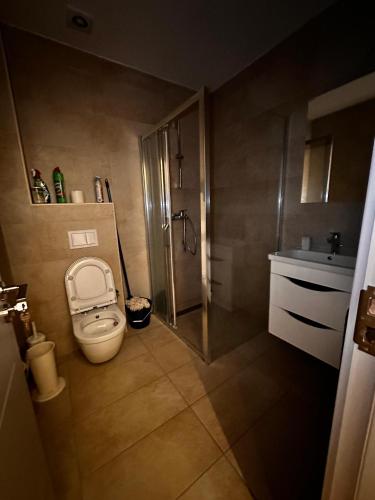 a small bathroom with a toilet and a sink at Serenity De Lluxe in Kavač