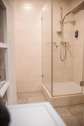 a shower with a glass door in a bathroom at Wilten 1 in Innsbruck