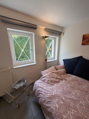 a bedroom with a bed and two windows at Cosy Studio naast station vlak bij Brussel in Hoeilaart