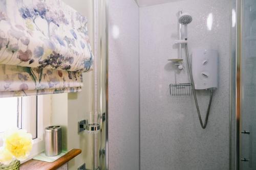 a shower in a bathroom with a glass door at Little Woodacott in Barnstaple