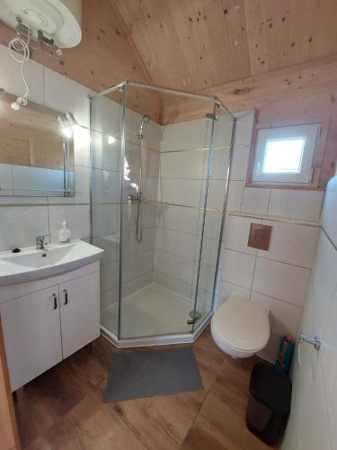 a bathroom with a shower and a toilet and a sink at Na polance dwa domki in Chłopy