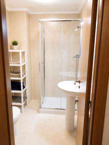 a bathroom with a shower and a toilet and a sink at Living Burgos in Burgos