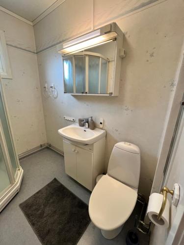 a bathroom with a toilet and a sink and a mirror at Villa Lindäng Apartment -Vimmerby in Vimmerby