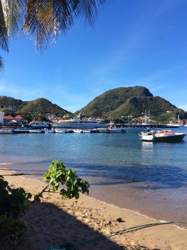 a beach with boats in the water and a mountain at Gîtes dans un jardin in Terre-de-Haut