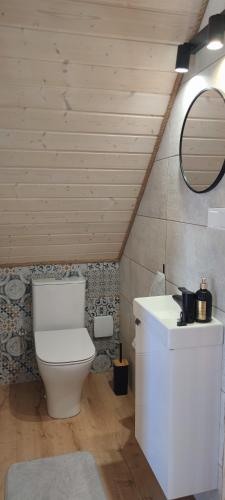 a bathroom with a toilet and a mirror at MAKS HOUSE KASZUBY Balia Lake and Forest Retreat in Przewóz