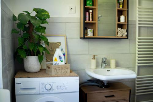 a bathroom with a washing machine and a sink at Anna's Landhaus in Soltau