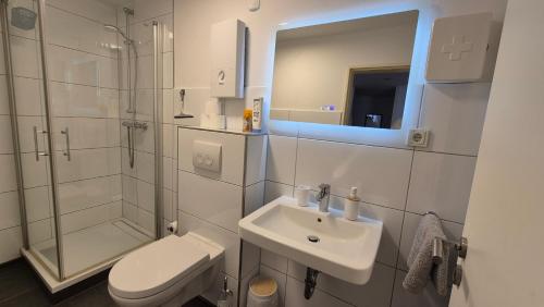 a bathroom with a toilet and a sink and a shower at Apartment für 3, 2 Boxspringbetten, Internet & Parkplatz in Dortmund