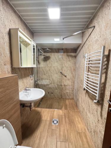 a bathroom with a sink and a toilet and a mirror at Apartments Lungo Mare in Sveti Stefan