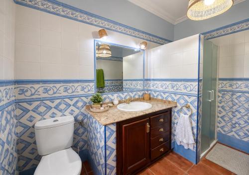a bathroom with a toilet and a sink and a mirror at Antigua Villa Medina casa con piscina 3 habitaciones in Marchena