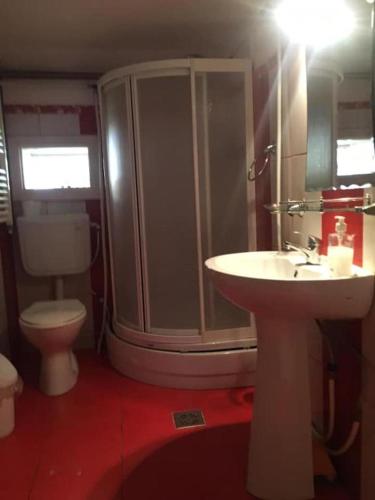 a bathroom with a shower and a sink and a toilet at Casa Flory nr 2- Complex de Pensiuni si Casute la Munte in Bistricioara